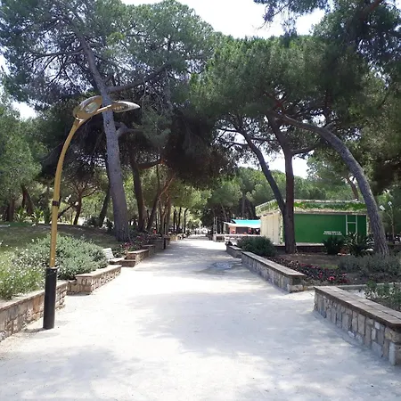 Apartman Palm Azur *